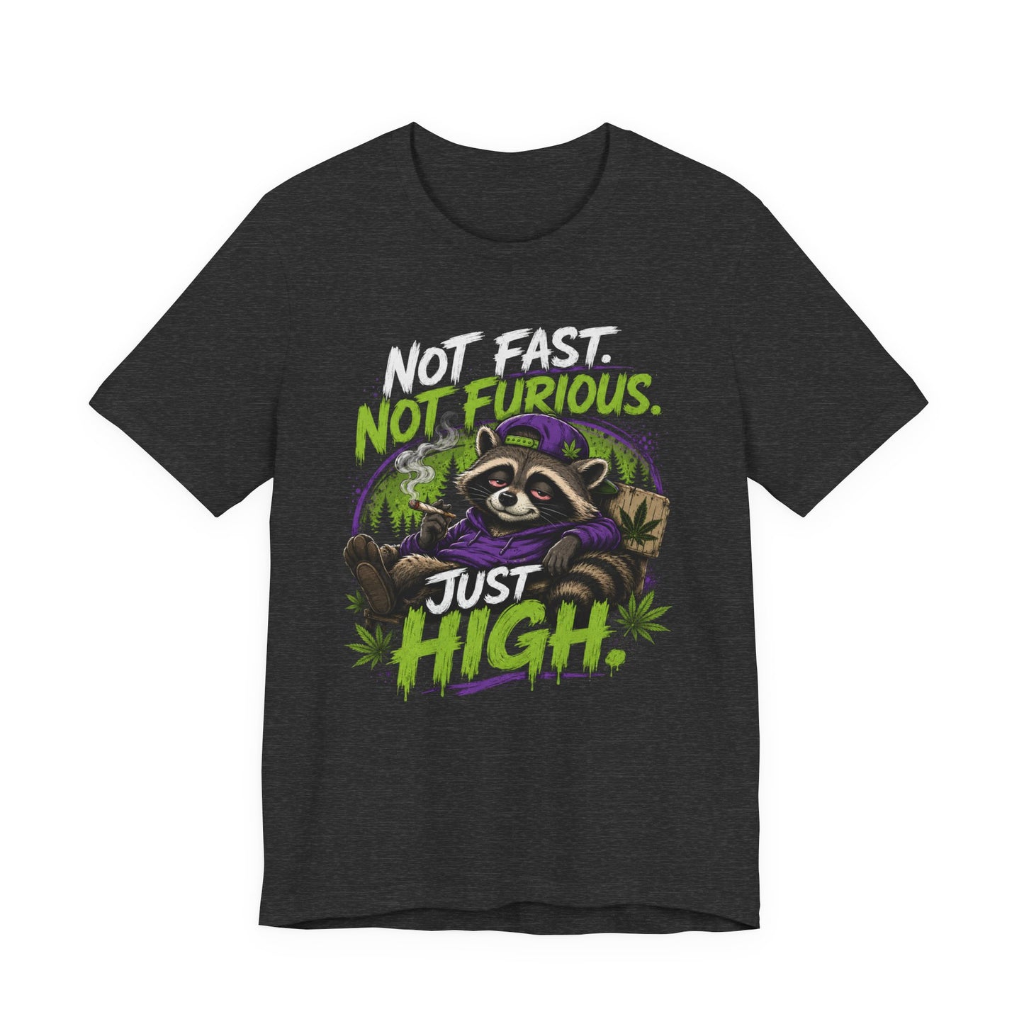 Not Fast Not Furious Just High Raccoon Shirt | Funny Stoner Graphic Tee | Cannabis Humor Gift